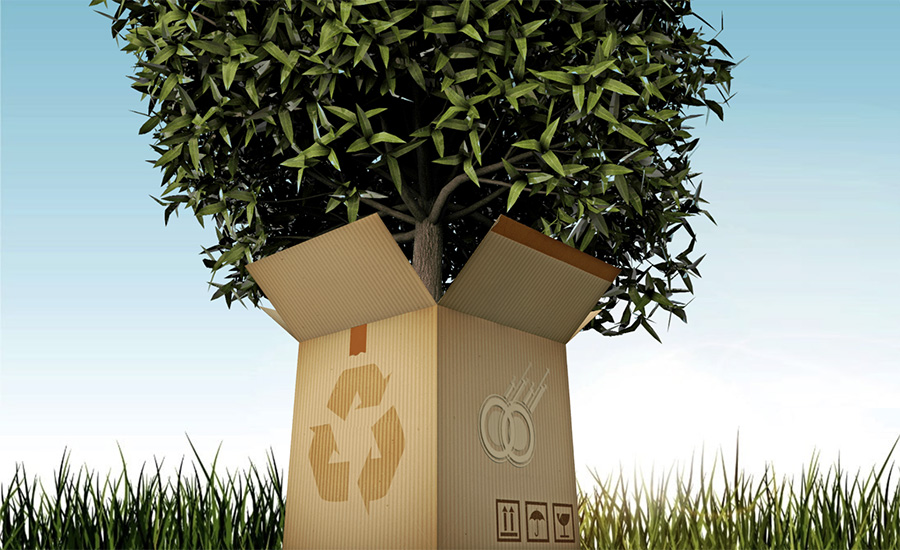Consumers Demand Rising For Sustainable Packaging