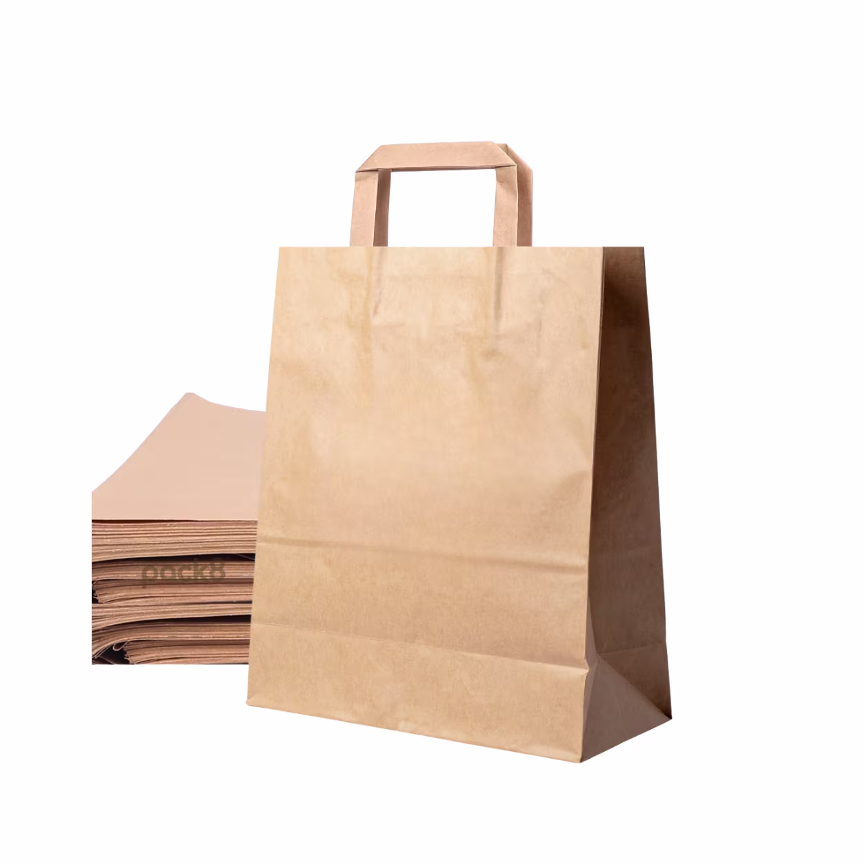 Paper Handle Bag