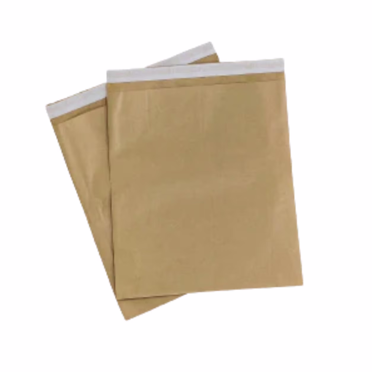 Paper Mailer Bag
