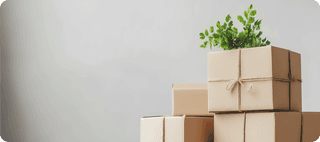 Paper Courier / Mailing Bags