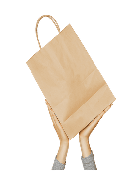 Paper Handle Bags