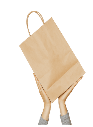 Paper Handle Bag (Twisted/Flat Handles)